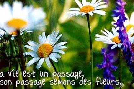 Dommage c'était bien !
