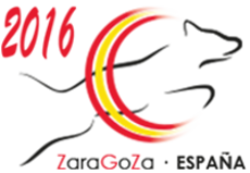 Vamos Espagna!!! Les Fanatics débarquent!!!