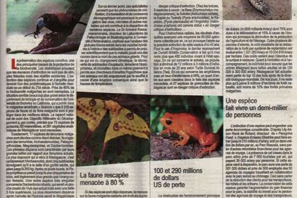 Faune malgache – Extinction des espèces et menaces sur les rescapées - Madagascar Matin, mercredi 26 août 2015