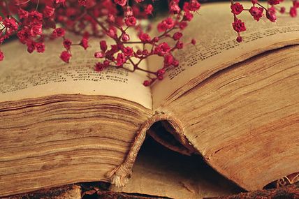 Challenge Livresque • Week-end à Mille : Bilan