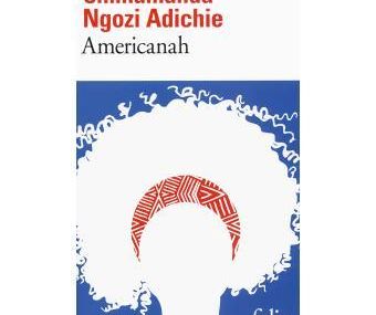 Chronique Livresque : Americanah - Chimamanda Ngozi Adichie 🌍🗻🌎🗽💻