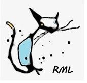 *RML* Rallye Vignes de Régnié