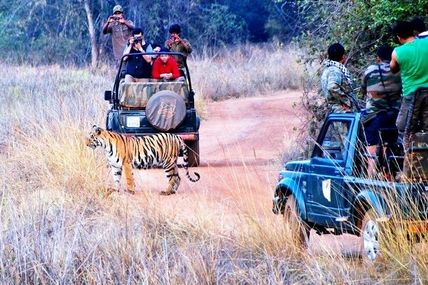 Rishikesh Wildlife Safari