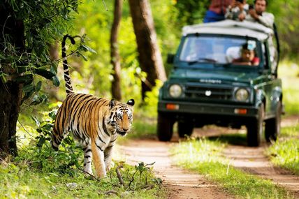 Rajaji Tiger Reserve Park in Rishikesh