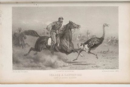 La Chasse à l'autruche