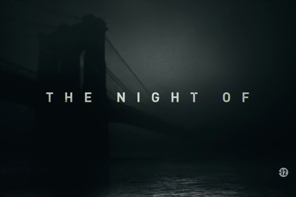 The Night Of - Saison 1