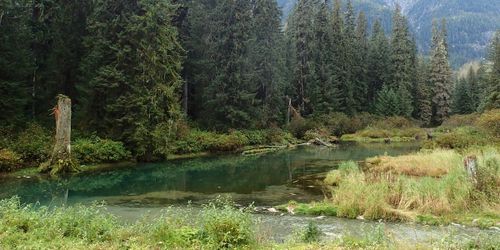 Salmon Glacier