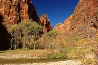 Zion