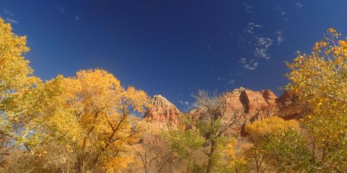 Zion
