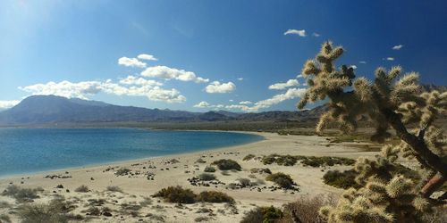 Baja California Norte