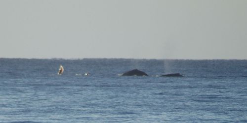 Todos Santos