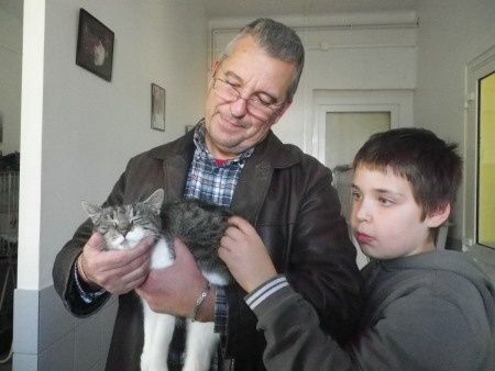 chat abbeville