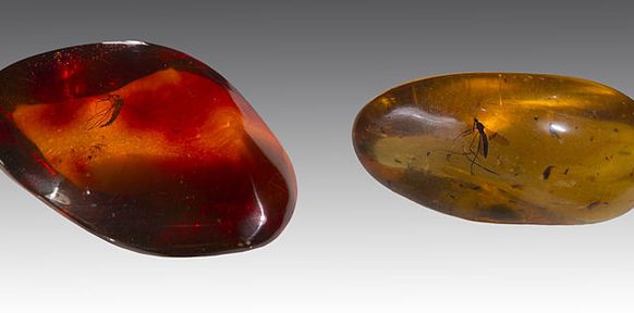 Mariage De Matieres Ou Noces De Quoi