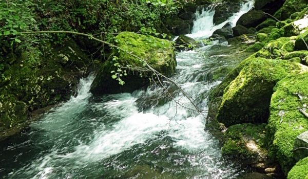 sortie rencontre grenoble