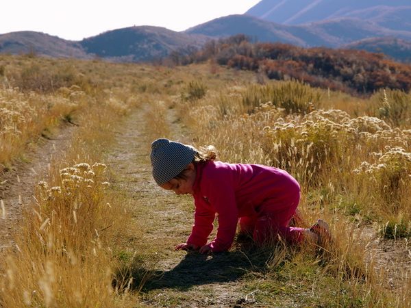 15K Timp Trail &amp; 15K Armstrong Trail