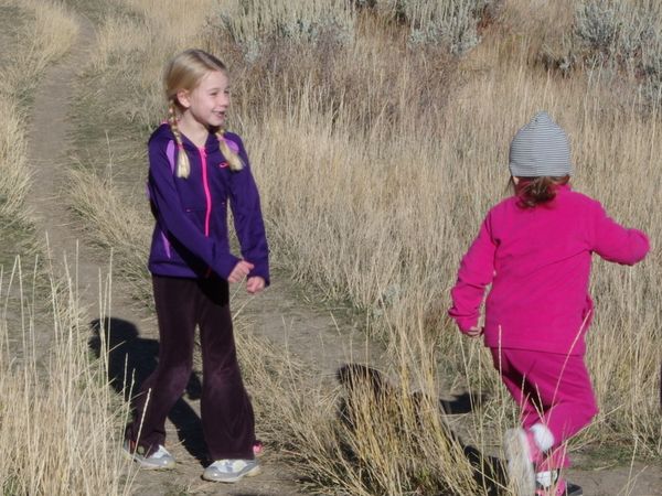 15K Timp Trail &amp; 15K Armstrong Trail