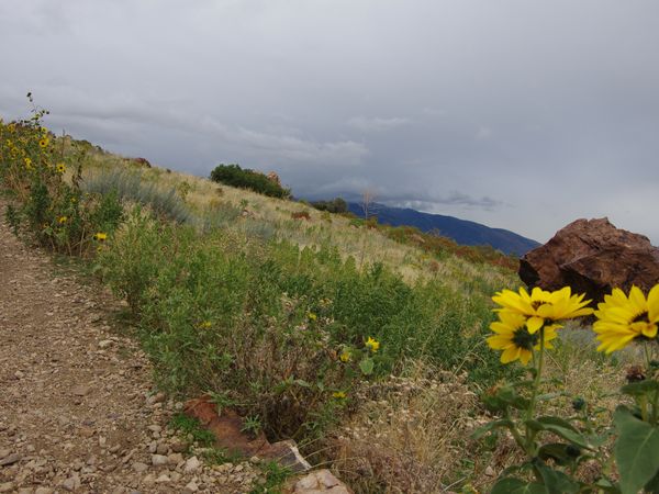 Tag der Deutschen Einheit auf dem Mount Olympus