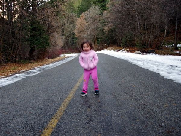Saturday Morning Fever: Shake it, Baby!