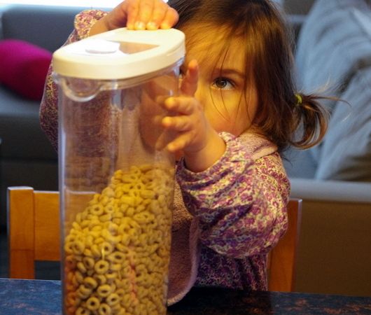 Karla und die Cheerios: Das Äffchen-Experiment am Menschen wiederholt.