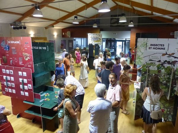 L'exposition [En]quête d'insectes à la MJC d'Onet-Le-Château (12) 