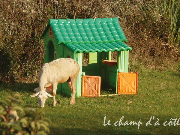 rencontre exploratoire