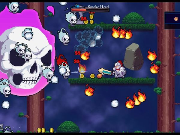 Rogue legacy