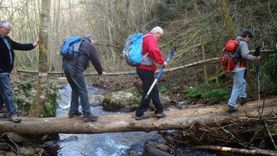 petites culottes et fines dentelles torrent