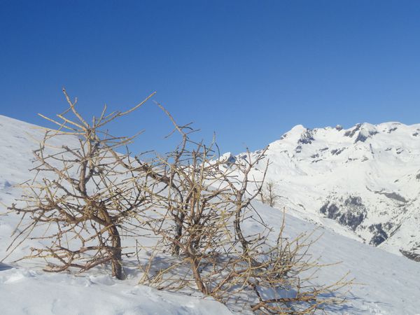 Col de Combeau