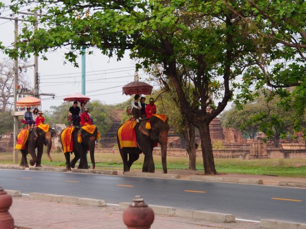 notre rencontre de temples