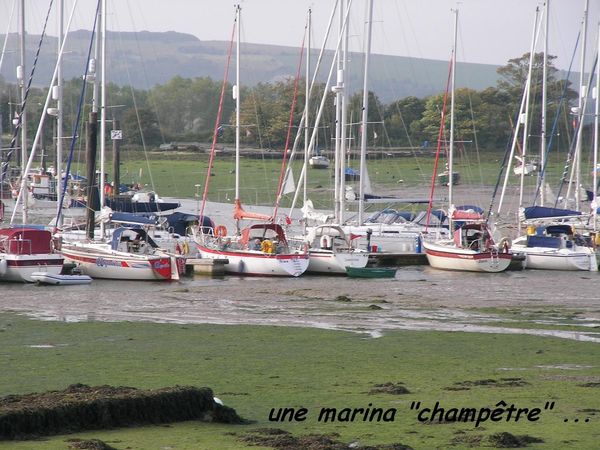 Rencontre amicale cholet