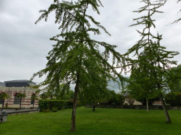 rencontre argeles gazost