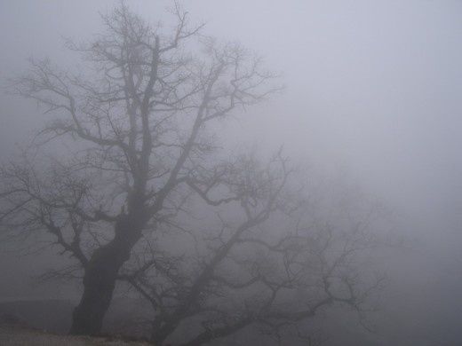 Le journal de Crysto Telskié — Chapitre 7