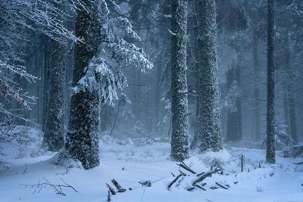 Le journal de Crysto Telskié - Chapitre 12