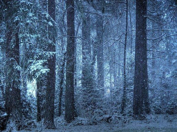 Le journal de Crysto Telskié - Chapitre 13