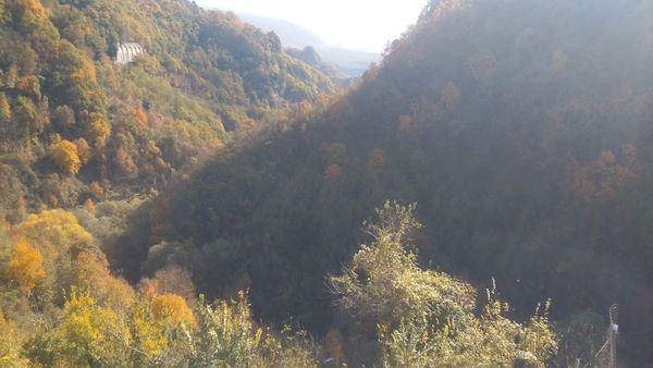 Autunno e colori