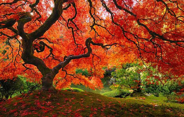 Autunno