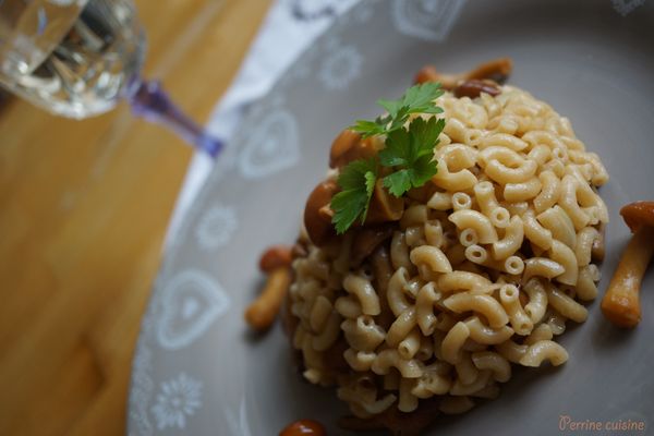 Coquillettes complètes aux champignons {comme un risotto}
