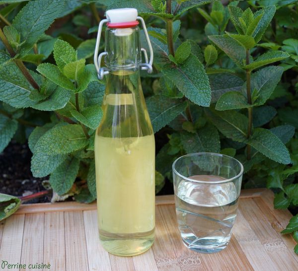 Sirop de menthe - à la menthe fraîche
