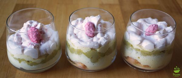 Verrines façon tiramisu au yaourt, à la rhubarbe et aux pralines roses