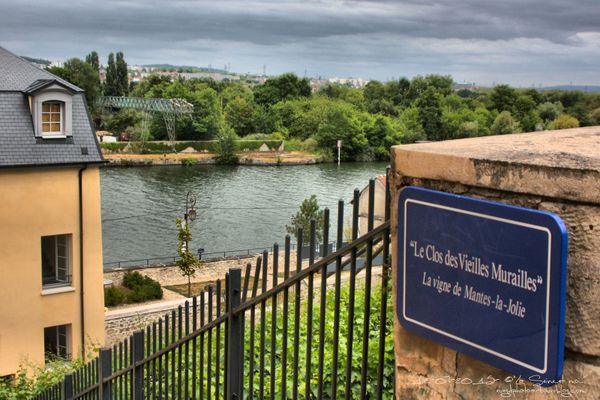 Du côté de la vigne..