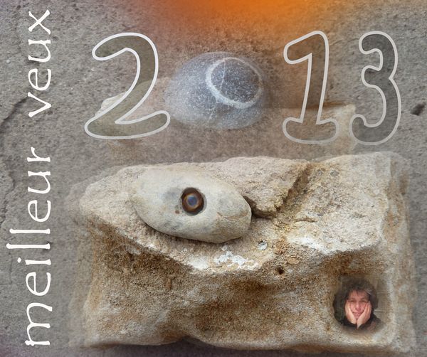 2013 "DORS" ET DEJA DES POUSSIERES D'ETOILES DANS LES YEUX
