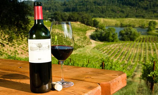 California “on the road” sulle strade del vino (2)