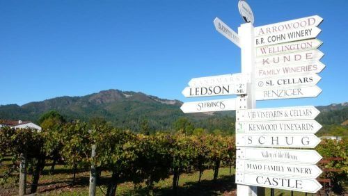 California “on the road” sulle strade del vino (1)