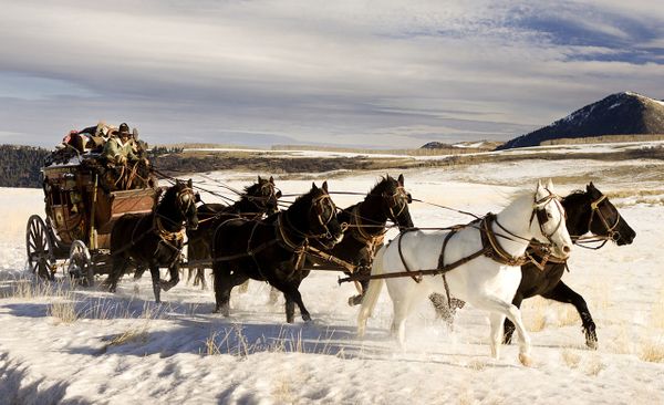 Una scena di The Hateful Eight