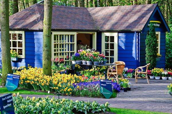 Il parco floreale di Keukenhof