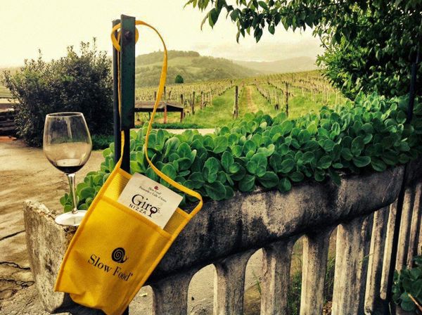 Cantine a Nord Ovest in Piemonte
