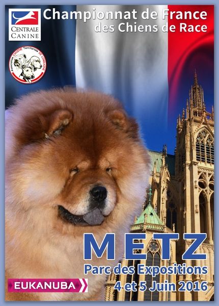 Metz 138ème Championnat de France des chiens de race les 4 et 5 juin 2016