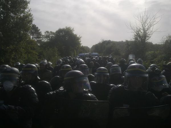 Notre Dame des Landes : qu’on leur envoie la troupe !