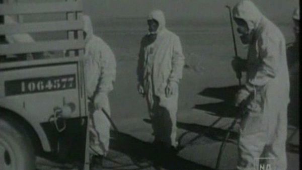 Les déboutés du nucléaire.