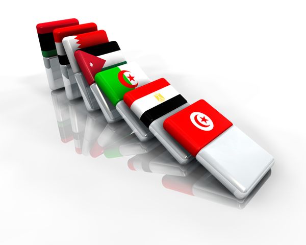 Du Forum Social Mondial aux révoltes arabes